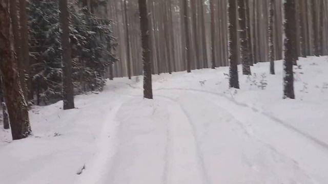 Прогулка в снегопад на озеро. смотреть онлайн