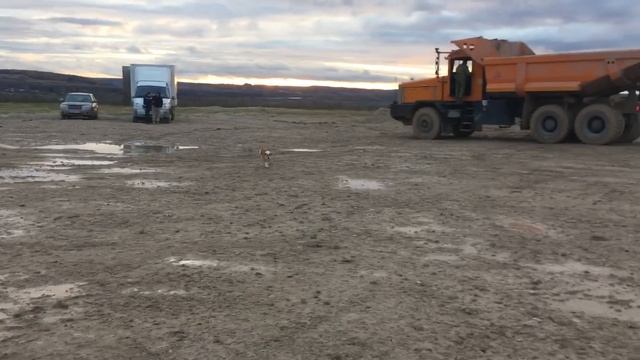 Опять на вахту в тульской области!✌️ смотреть онлайн