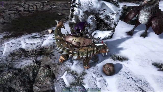 Moving Day And An Oily Yutyrannus