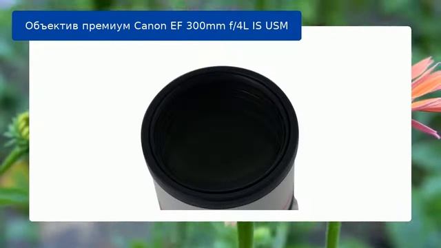 Объектив премиум Canon EF 300mm f/4L IS USM обзор и отзыв смотреть онлайн