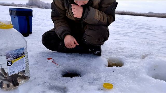 Ловля щуки и окуня на жерлицы на живца, рыбалка зимой 2020-2021, fishing смотреть онлайн