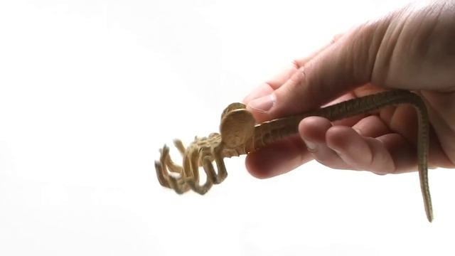 NECA Aliens Xenomorph Egg & Facehugger Figure Video Review смотреть онлайн