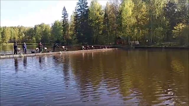 Запуск и первые поимки форели. Рыбалка на спорт-зоне. Клёвое место Лосиный остров. смотреть онлайн
