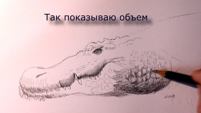 Как нарисовать крокодила карандашом. Часть 2. Штриховка (04.02.2019) смотреть онлайн