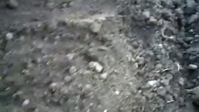 Посадка огурцов на узких грядах Митлайдера смотреть онлайн