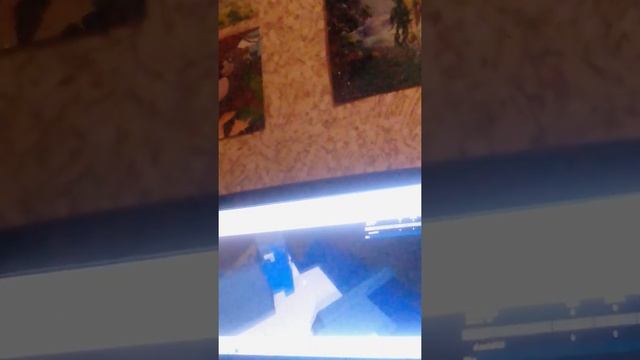 Урок 1 как создать свой сервер в роблокс Урок 2 как выложить свой сервер в роблокс смотреть онлайн
