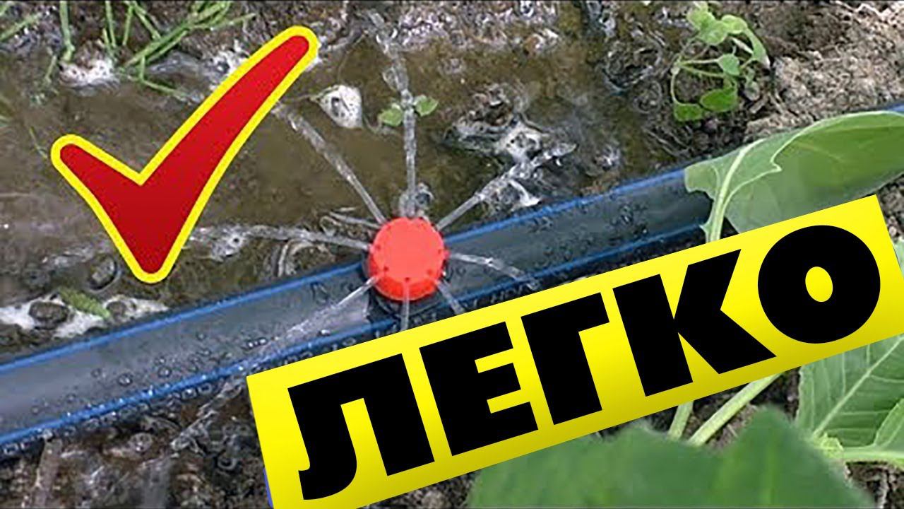 Наконец то сделал простой полив в теплице своими руками, типа капельный смотреть онлайн