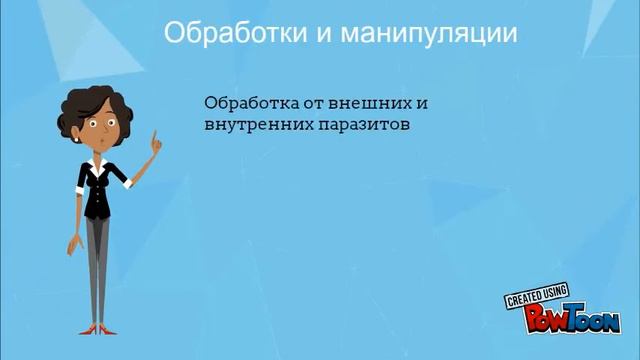 нашли кошку 6 шагов смотреть онлайн