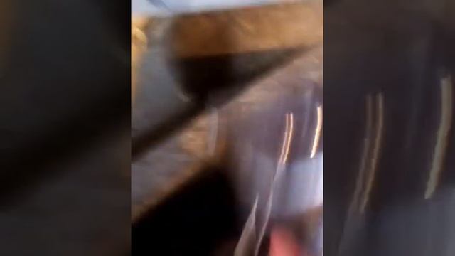 Suzuki Swift подымаем задницу смотреть онлайн