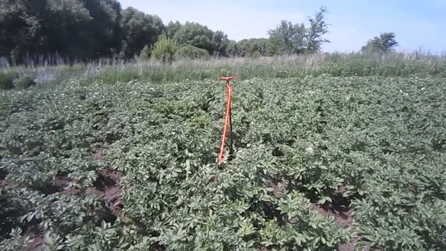 Сенокос смотреть онлайн