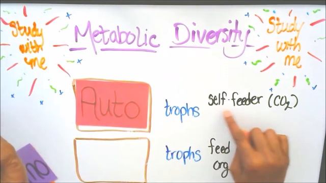 Heterotrophs, Autotrophs, Phototrophs, and Chemotrophs смотреть онлайн
