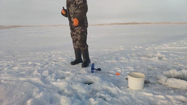 Поймали килограммового окуня!!!!!🎣🎣🎣 смотреть онлайн