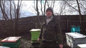 МОЙ ЛУЧШИЙ ПРОТИВОРОЕВОЙ МЕТОД, ДЕЛЕНИЕМ НА ПОЛ ЛЁТА СО СМЕНОЙ  НУЖНЫХ МАТОК ДЛЯ ПАСЕКИ