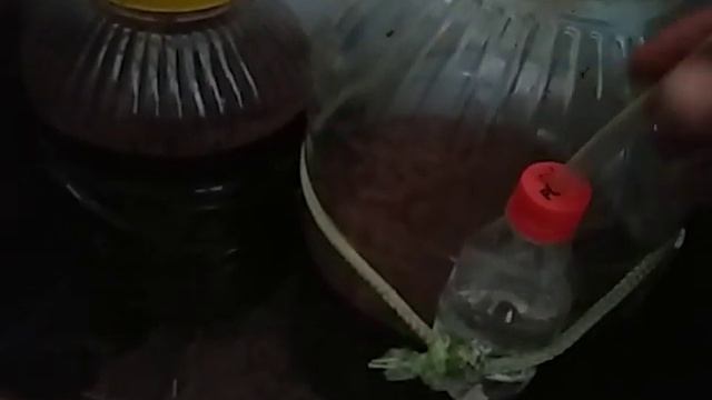 ТАК Я ДЕЛАЮ ВИНА ИЗ ЧЕРЕШНИ ! смотреть онлайн