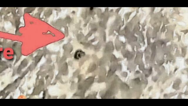 M Cave Keyhole Part 2 Disturbing Evidence Found смотреть онлайн