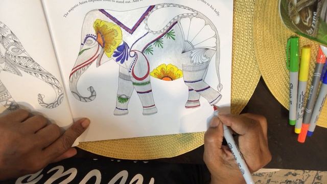 Animal Kingdom, Adult Coloring Book and Live Coloring, Watch Me Color My Elephant смотреть онлайн