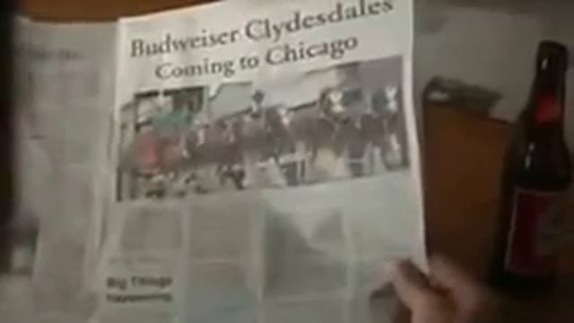 Очень красиво - Лошадь смотреть онлайн