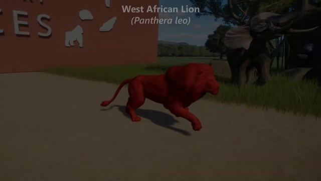 Colored Critically Endangered Animals Race in Planet Zoo included Lion, Gorilla, Orangutan & etc смотреть онлайн