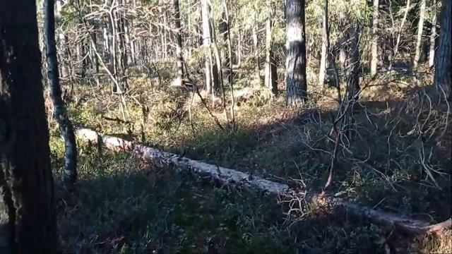 Щепочница своими руками из мангала смотреть онлайн