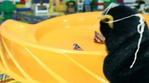 КАК УЛУЧШИТЬ АХИЛЛЕСА? СОКРУШИТЕЛЬНЫЕ БЕЙБЛЭЙД БИТВЫ! Дракоша Гоша. В мире игрушек