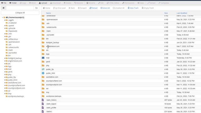 How to Find WordPress Pages in cPanel (2022) | Urdu/Hindi смотреть онлайн