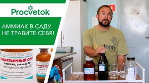 Урожайный огород. Бесполезные советы о нашатырном спирте. Аммиак для растений.