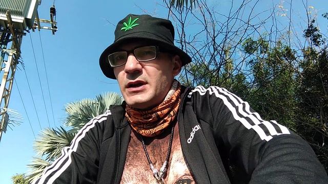 О лошадях и ослах | Самое быстрое (непарно)копытное животное на Земле | Размышления о лошадиных смотреть онлайн