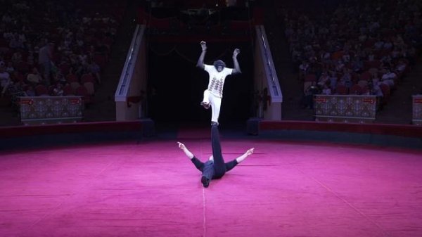 ШОК!!! ДАН ЗАПАШНЫЙ УВОЛЕН после этого ВЫСТУПЛЕНИЯ! НЕ КЛИКБЕЙТ! ШИМПАНЗЕ БОНЯ в Омском цирке