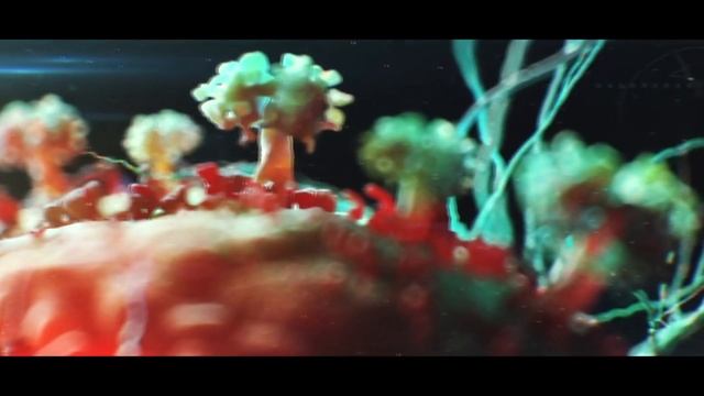 ВИЧ ближе, чем кажется смотреть онлайн