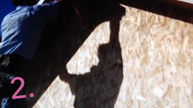 3 Самых Жутких Созданий, Снятых на Камеру 1#