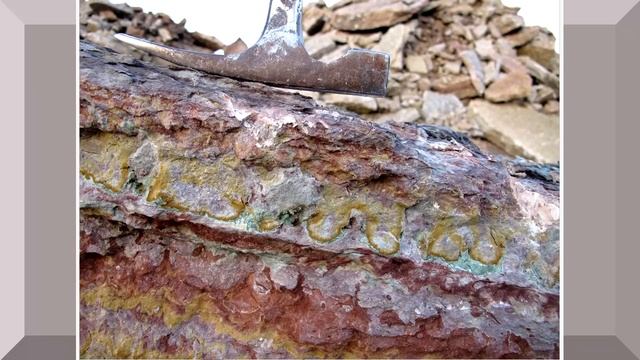 Ордовикский период (рассказывает Михаил Никитин)