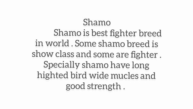 Shamo Vs Aseel | Shamo and Aseel difference смотреть онлайн