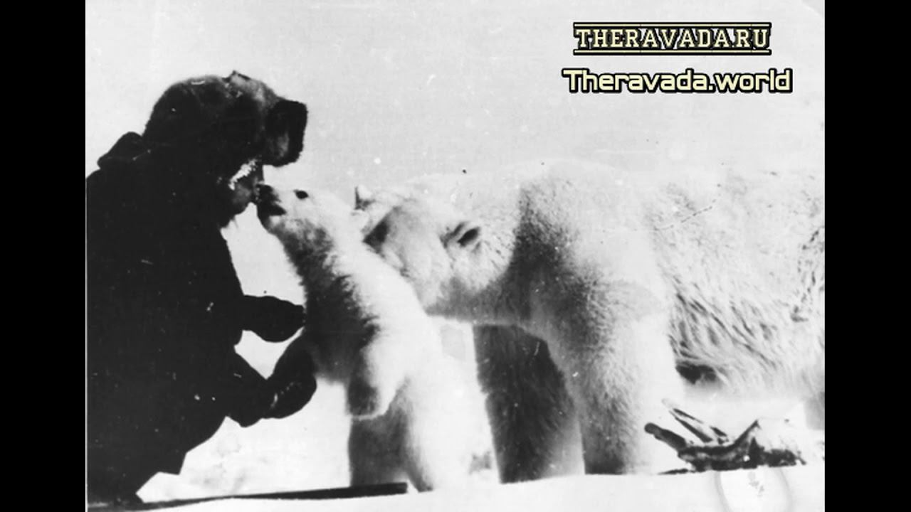 Аджан Сумедхо - Практика метты (Любящая Доброта) смотреть онлайн