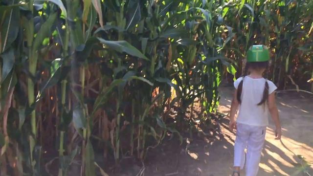 ★Гигантский ЛАБИРИНТ КВЕСТ из кукурузы КУКУЛАБИЯ Киев MAZE QUEST of maize смотреть онлайн