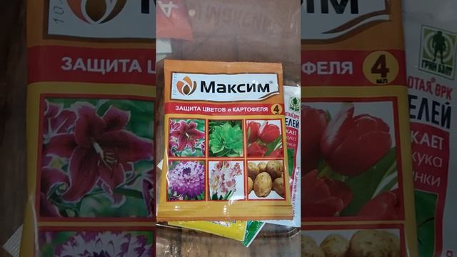 Зимняя обработка комнатных растений от вредителей . Декабрь 2022 г. смотреть онлайн
