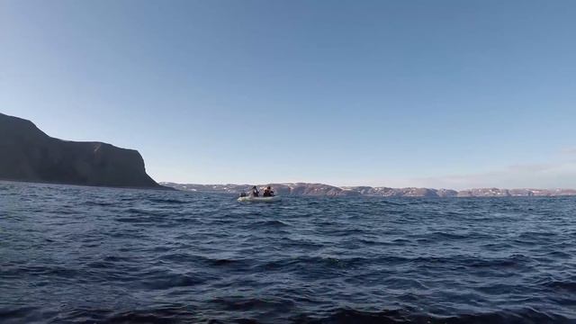 ЛЕТОМ В МОРЕ РЫБА ЕСТЬ / Summer fishing for cod смотреть онлайн