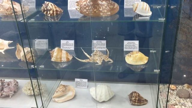 Geely Atlas отпуск на Море, прогулка по Лазаревскому району. смотреть онлайн