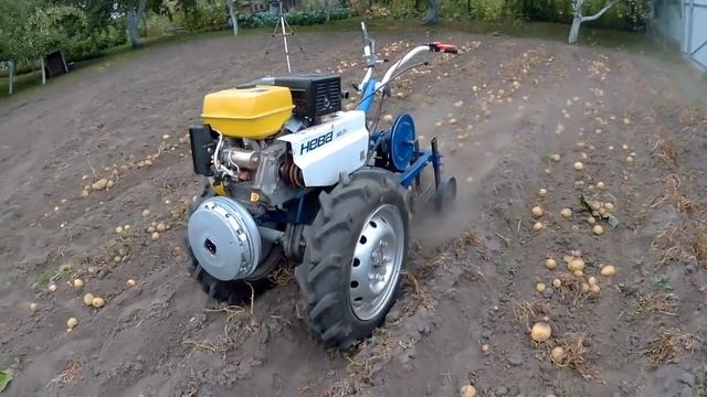 Испытание картофелекопалки с мотоблоком. Убираем ранний картофель Ариэль. смотреть онлайн