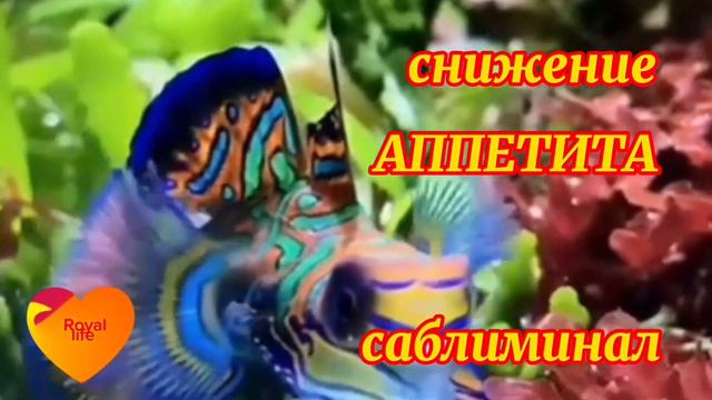 Слушайте эти скрытые аффирмации (саблиминал) для безопасного снижения аппетита смотреть онлайн