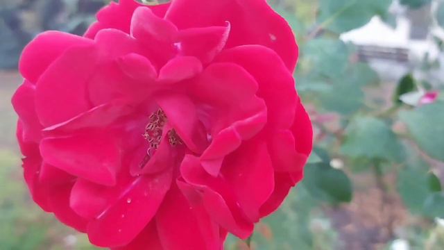 - Ты выбилась в люди, дочка, и должна содержать меня. Закон на моей стороне, так что готовь денежки смотреть онлайн