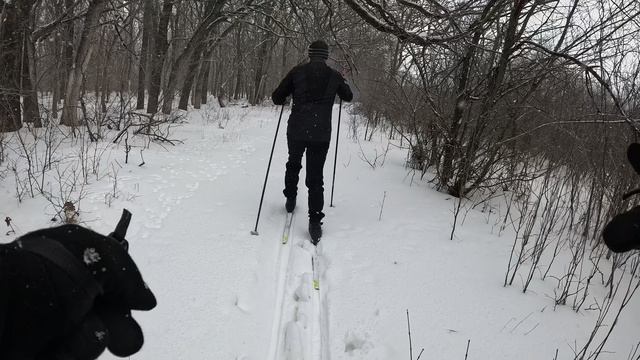 Лыжная прогулка в селе Монастырское. Февраль 2024. Часть 1