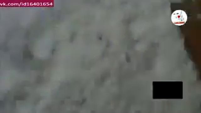 Мчс работает над мышами много крысы.mp4 смотреть онлайн