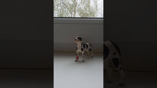 Информация,пишите в коментариях смотреть онлайн