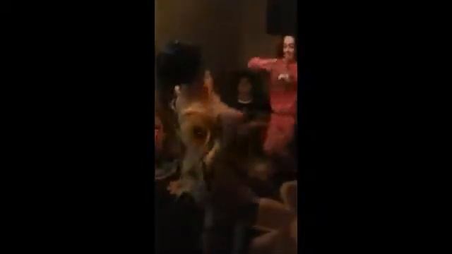 Арабо и таджикский танце (супер) смотреть онлайн