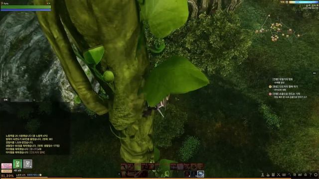 ARCHEAGE Korea Let's Play # 002 - Unerwarteter Nachwuchs - MMORPG - Gameplay - Deutsch смотреть онлайн