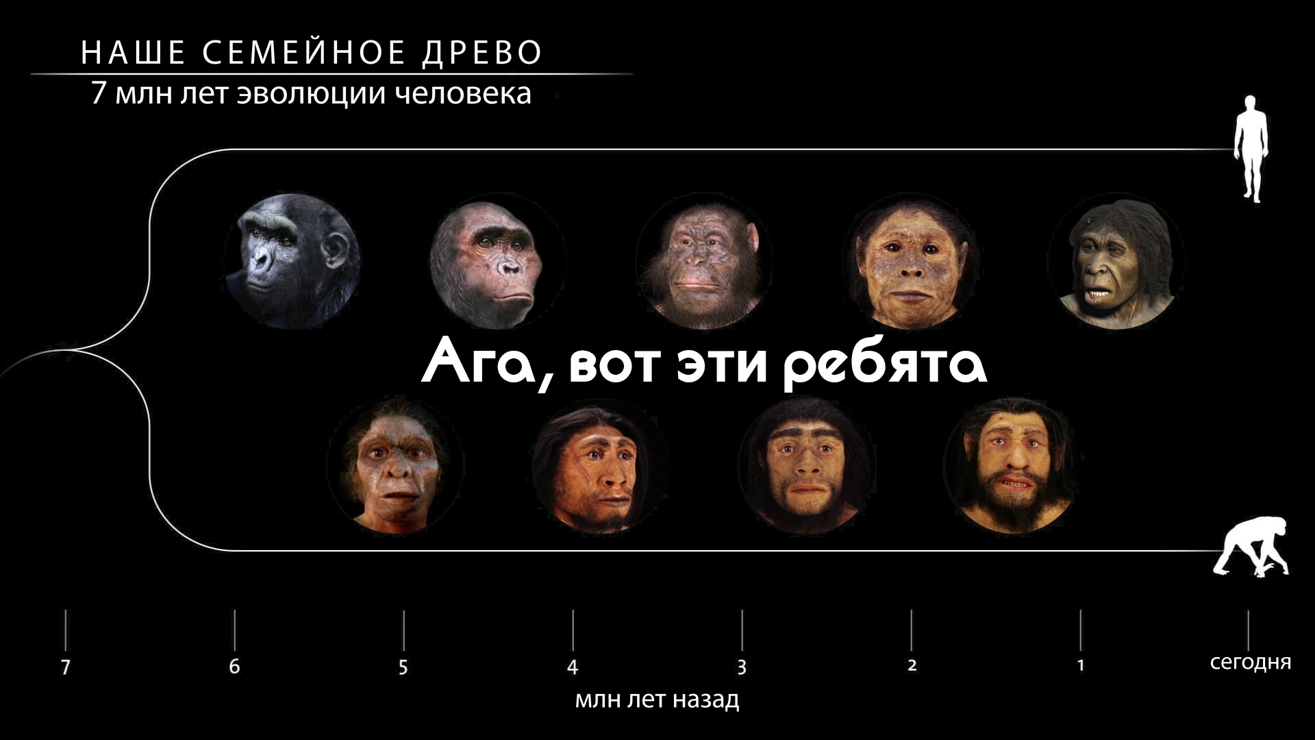 7 миллионов лет эволюции человека [ПЕРЕВОД/TRANSLATION] смотреть онлайн