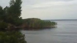 Ласточки летают низко - значит буря очень близко!