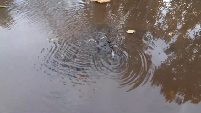 Саратов, Пономарева 16 смотреть онлайн