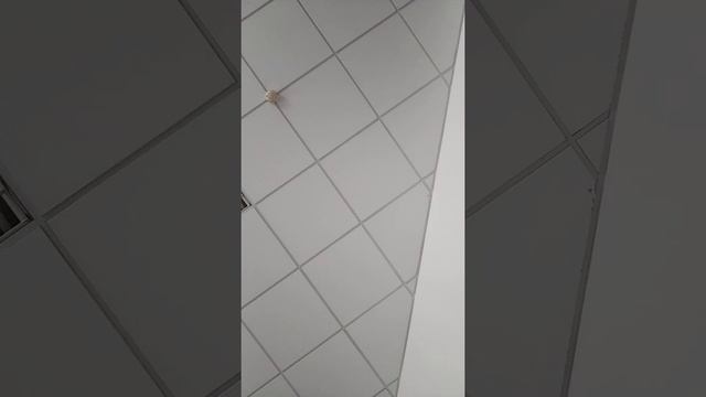 Кемерово проспект кузнецкий 24 Роспотребнадзор.охранник.время 15:45 . 17.03.2021 среда смотреть онлайн