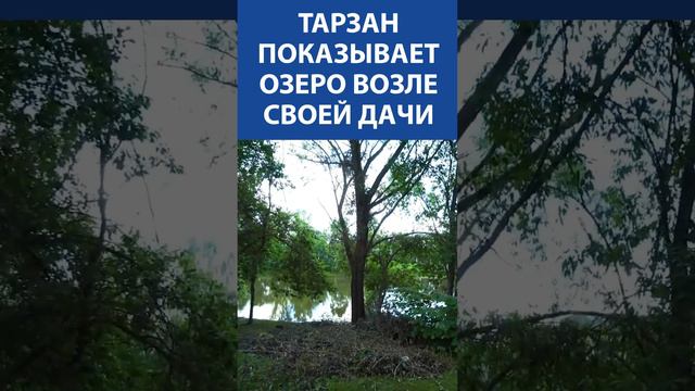 Тарзан (Сергей Глушко) показывает шикарное озеро возле своей дачи